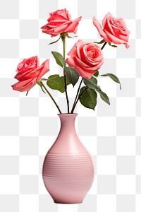 PNG Flower plant vase rose. 