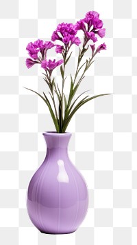 PNG Flower plant vase jar. 