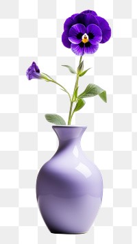 PNG Flower plant vase inflorescence. AI generated Image by rawpixel.