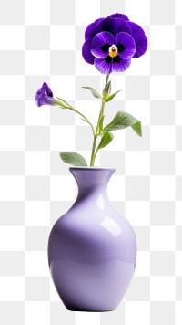 PNG Flower plant vase inflorescence. 