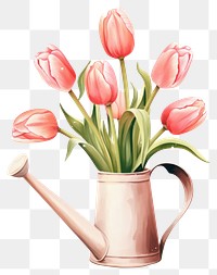 PNG Tulips flower plant pink