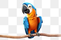 PNG Cartoon animal parrot macaw. AI generated Image by rawpixel.