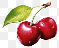 PNG Cherry fruit plant food transparent background