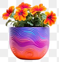 PNG Flower flowerpot plant petal. 