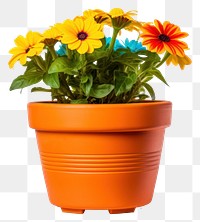 PNG Flower flowerpot plant vase. 