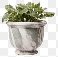 PNG Flowerpot plant vase leaf. 