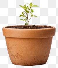 PNG Flowerpot gardening plant herbs. AI generated Image by rawpixel.