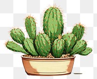 PNG Astrophytum myriostigma cactus cartoon plant houseplant. AI generated Image by rawpixel.