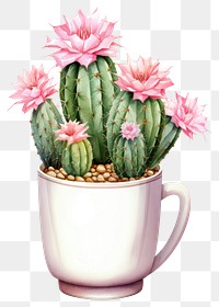 PNG Little jewel cactus plant cup  