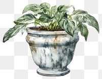 PNG Flowerpot plant vase leaf. 