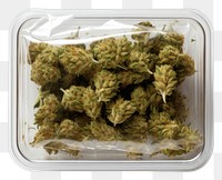 PNG Cannabis plant container transparent background