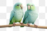 PNG Parrot animal bird budgerigar. AI generated Image by rawpixel.