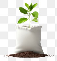 PNG Plant leaf soil beginnings. AI generated Image by rawpixel.