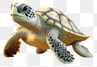 PNG Sea turtle reptile animal wildlife. 