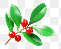 PNG Cherry plant fruit leaf. 