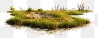 PNG Marsh landscape outdoors nature