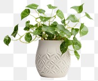 PNG Plant leaf vase transparent background