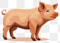 PNG Pig livestock mammal animal transparent background