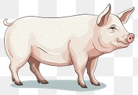 PNG Pig livestock animal mammal transparent background