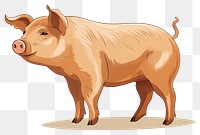 PNG Pig livestock mammal animal transparent background