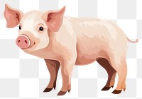 PNG Pig mammal animal boar transparent background