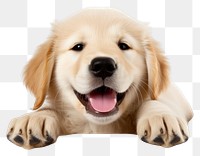 PNG Puppy smiling mammal animal. AI generated Image by rawpixel.
