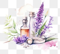 PNG Lavender therapy flower purple. 