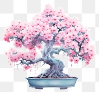 PNG Bonsai blossom flower plant. AI generated Image by rawpixel.