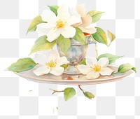 PNG Saucer flower plant serveware. 