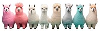 PNG Livestock animal mammal alpaca transparent background