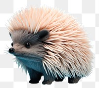 PNG Hedgehog mammal animal erinaceidae transparent background