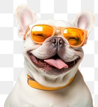 PNG Sunglasses dog bulldog animal