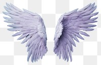 PNG Angel wing bird lightweight. 