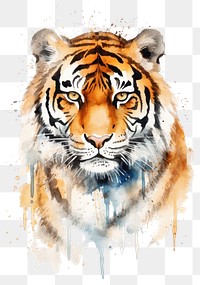 PNG Tiger wildlife animal mammal. AI generated Image by rawpixel.