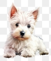 PNG Terrier mammal animal white. AI generated Image by rawpixel.