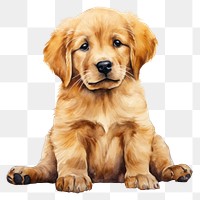 PNG Puppy retriever animal mammal. 