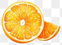 PNG Grapefruit orange lemon plant. AI generated Image by rawpixel.