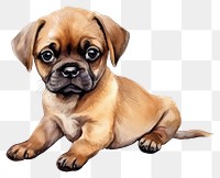 PNG Puppy pug mammal animal. AI generated Image by rawpixel.