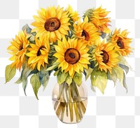 PNG Sunflower plant inflorescence centrepiece. AI generated Image by rawpixel.
