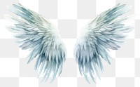 PNG Angel wing bird transparent background