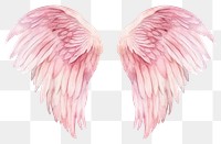 PNG Angel wing bird transparent background