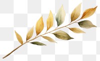 PNG Plant leaf freshness pattern. AI generated Image by rawpixel.