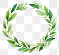 PNG Wreath green plant leaf. AI generated Image by rawpixel.