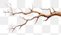 PNG Antler wood driftwood textured