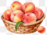 PNG Peach basket apple fruit transparent background