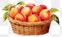 PNG Basket peach apple fruit transparent background