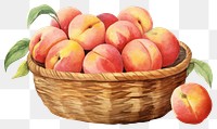 PNG Peach basket apple fruit transparent background