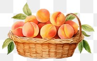 PNG Peach basket fruit plant transparent background