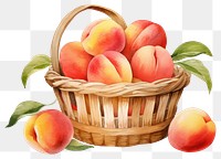 PNG Peach basket fruit plant transparent background