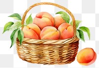 PNG Basket peach fruit plant transparent background